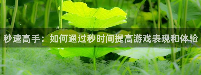 杏盛主管