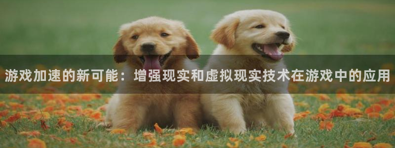 杏盛平台代理