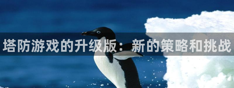 杏盛平台总代理