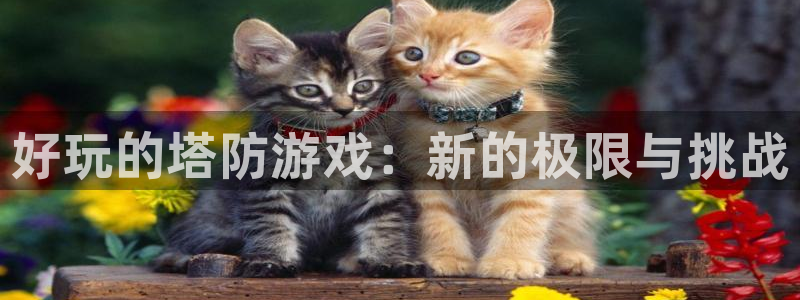 杏盛平台总代理