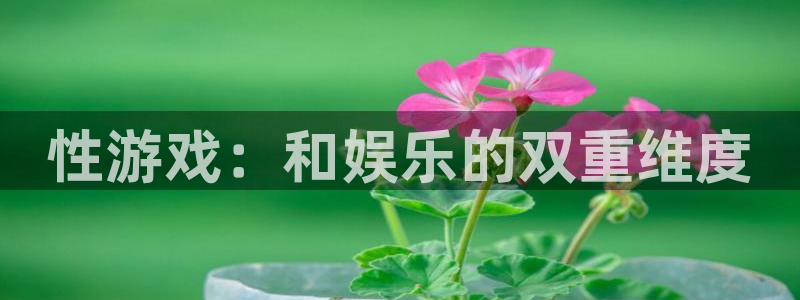 杏盛平台注册：性游戏：和娱乐的双重维度