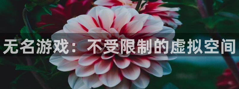 杏盛主管：无名游戏：不受限制的虚拟空间