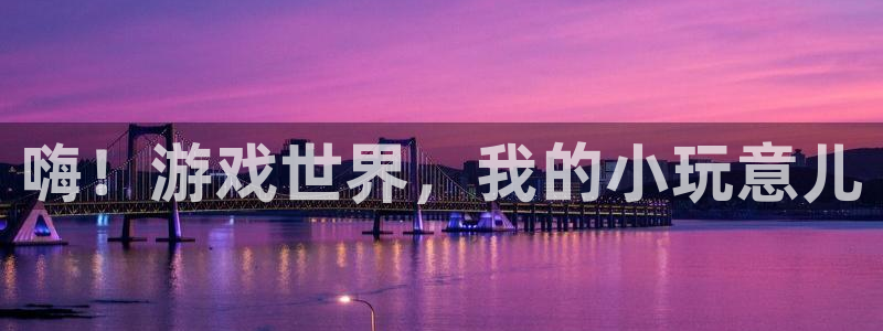 杏盛主管是谁：嗨！游戏世界，我的小玩意儿