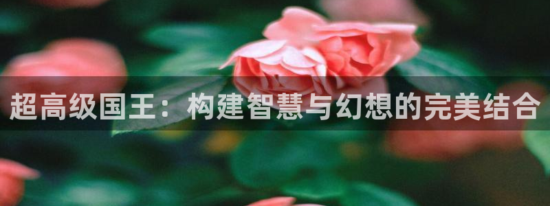 杏盛登录地址：超高级国王：构建智慧与幻想的完美结合